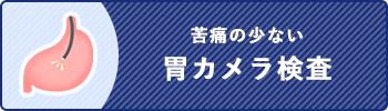 苦痛の少ない胃カメラ検査