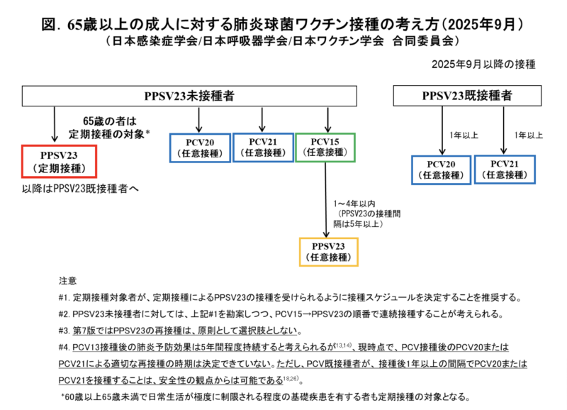 65歳以上の成人に対する肺炎球菌ワクチン接種の考え方(2025年9月)